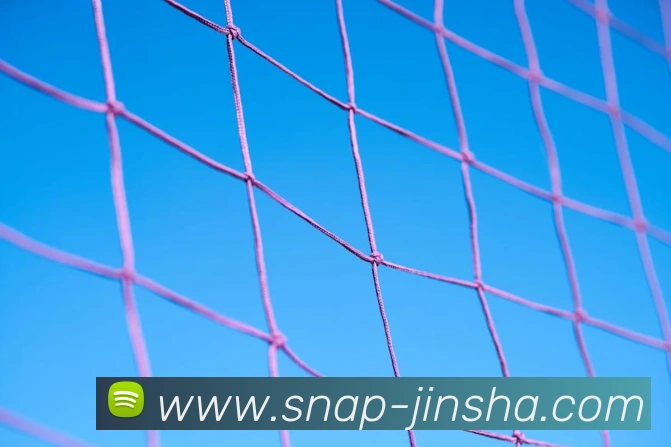 金沙娱乐城平台生态图